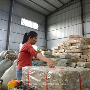 High-quality Clean Long Fiber Sphagnum Moss 500g Compressed Dry Brick for Orchid Dendrobium Flower Cultivation Reptile Mattress thumbnail-2