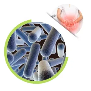Quality Probiotics Lactobacillus Gasseri Powder Freeze-dried Probiotics Powder For Health thumbnail-1