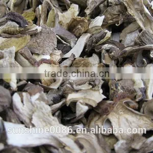 Wild Dried White Porcini Mushroom thumbnail-6