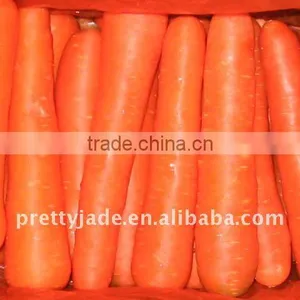 Fresh Carrot thumbnail-1