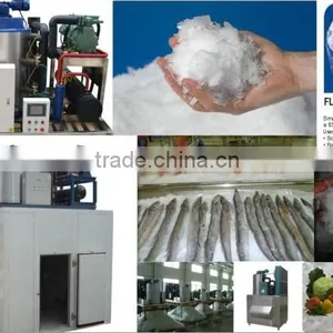 Quality Assured Big Capacity Flake Ice Machine thumbnail-6