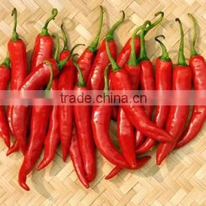DRIED CHILLI POWDER FROM VIET NAM thumbnail-6