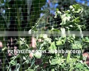 Garden Nets/Plant Support Nets/Anit-bird Nets thumbnail-1