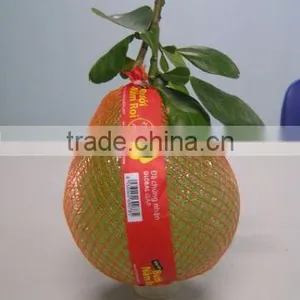 Fresh Honey Pomelo/ Grapefruit (Premium Quality) thumbnail-1