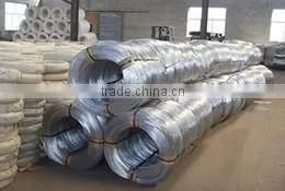 Electro Galvanized Iron Wire in Coil (real Factory) thumbnail-5