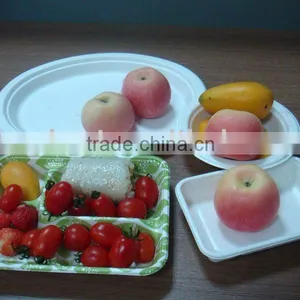 Sugarcane Tableware thumbnail-1