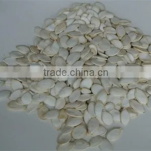 Snow White Pumpkin Seeds Kernels thumbnail-2