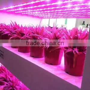Plant Induction Grow Lamp 40w-300w thumbnail-1