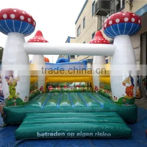 Best Selling Inflatable Bounce Castle Inflatable Combo for Children Quality Choice thumbnail-1