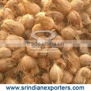 Oraganic Semi Husked Coconuts thumbnail-2