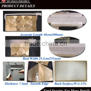 250x400mm WT0043 Latest Design Ceramic Wall Tile 6mm Thickness thumbnail-3