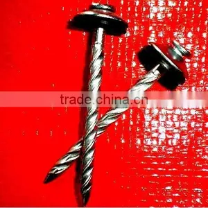 2.5" South African Market Twisted Nails thumbnail-2