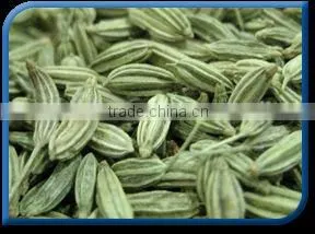 Fennel Seed thumbnail-1