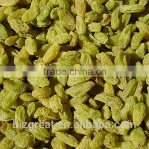 Air Dried AD Green Raisin With Factory Price thumbnail-3