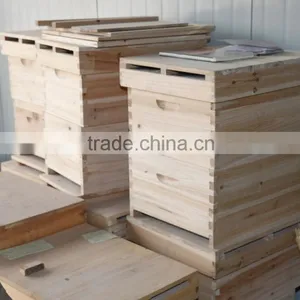Apis Cerana Beehive thumbnail-1