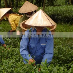 Viet Nam High Quality Black Tea thumbnail-3