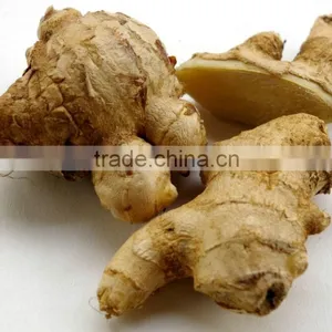 VIETNAM OLD FRESH GINGER SUPPLIER COMPETITIVE PRICE thumbnail-6
