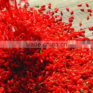 Gou qi Zhi Goji Berry Juice Organic Goji Berry Juice thumbnail-2