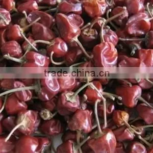 Bell Chilli From India thumbnail-3
