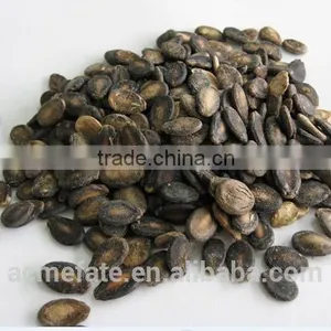Foodstuff / The New Crop Black Watermelon Seeds A Gradefrom China thumbnail-1