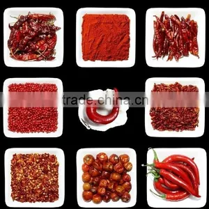 BEST QUALITY HOT RED CHILI FOR SUPPLY thumbnail-3