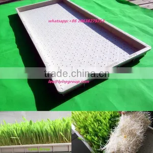 High Quality Plant Propagation Plastic Seed Tray thumbnail-1