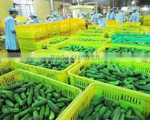 Binh Minh Food Joint Stock Company company overview - view 3 thumbnail