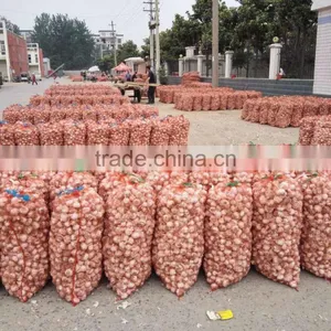 2016 New Crop Factory Supplier Normal White And Pure White Garlic for Indonesia, Malaysia, Thailand From China Factory thumbnail-5