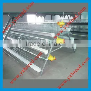 Battery Chicken Cage for Commercial Broiler thumbnail-1