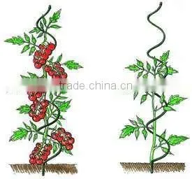 Spiral Plant Support Stakes thumbnail-1
