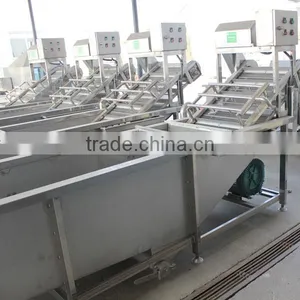 Newest Hot Sale Super Quality Industrial Strawberry Washing Machine thumbnail-1