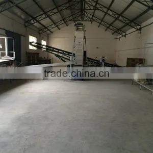 Peanut CCD Color Sorting Line thumbnail-4