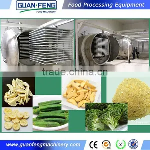Fruit and Vegetable Freeze Dryer Jackfruit Freeze Drying Equipment thumbnail-1