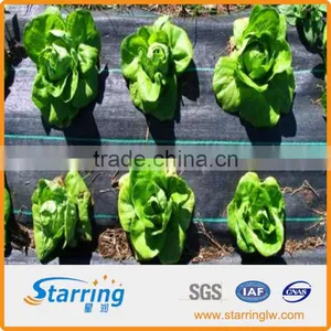 Weed no Growth Woven Fabric for Landscape thumbnail-1