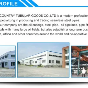 Tianjin Dalipu Oil Country Tubular Goods Co., Ltd company overview - view 2 thumbnail