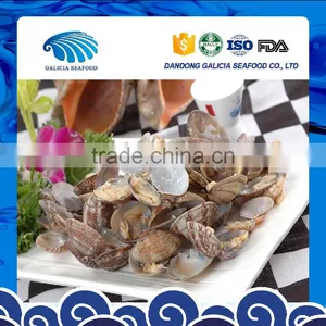 Fresh Frozen Variegated Clam Shell-On thumbnail-1