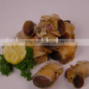 Conch Meat thumbnail-5