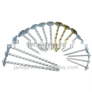 High Quality Umbrella Head Galvanized Roofing Nail thumbnail-1
