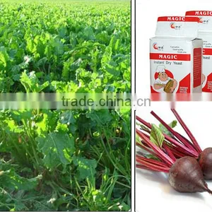 Baking Yeast Instant Dry Yeast Manufacturers thumbnail-2
