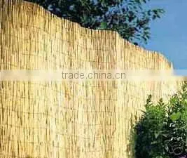Reed Fence thumbnail-1