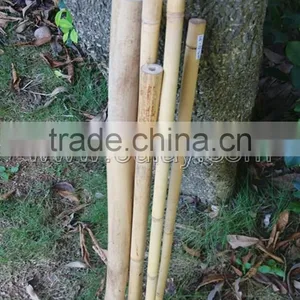 Decorative Short Bamboo Canes thumbnail-4