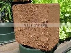 Coco Peat 5kg - Ornamental thumbnail-1