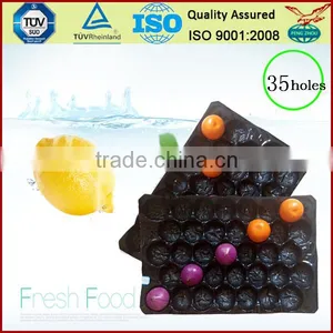 Canada Popular Wholesale Greenhouse Agriculture Products Packaging Plastic Tomato Tray thumbnail-5