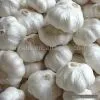 Sell Pure White Garlic thumbnail-1