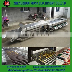 3ton/h Food Grade Industrial Fruit Fish Cassava Fruit Washing Grading Waxing Machine thumbnail-4