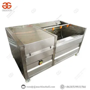 Carrot Cleaning Machine Cassava Ginger Washer Vegetable thumbnail-1