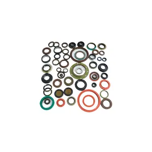 Customized Oil Seal OEM Different Materials Rotary Shaft Oil Seals thumbnail-1