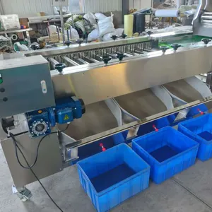 Green Lime Fruit Sorting Grading Machine Sorter Grader Machine Line Classifying Machines thumbnail-2