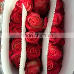 Love Theme Hotsell Red Rose Fresh Cut Flower thumbnail-3