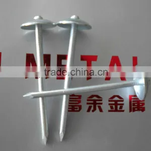 Roofing Nails (manufacturers), Common Iron Nails thumbnail-1